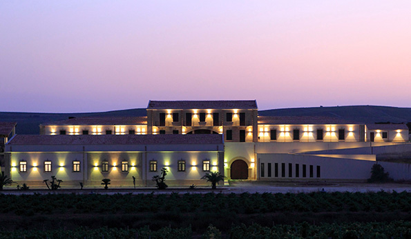 Azienda vinicola Assuli