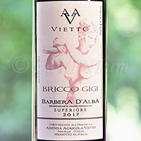 Barbera d'Alba Superiore Bricco Gigi 2017 Vietto
