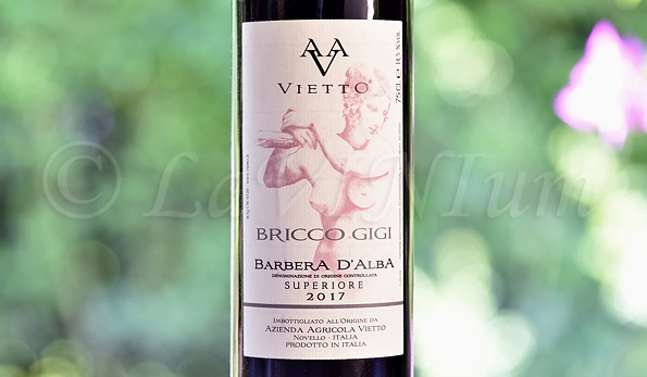 Barbera d’Alba Superiore Bricco Gigi 2017 Vietto