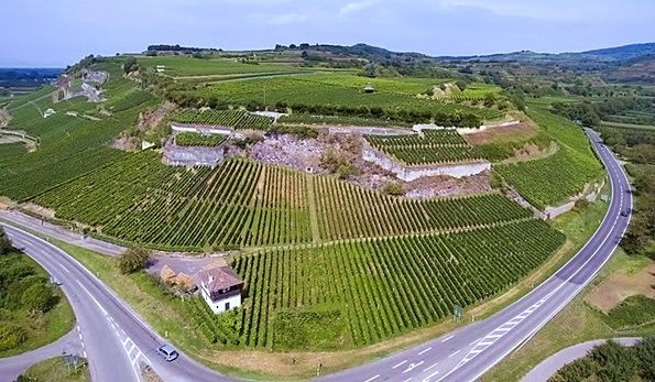 vigneti Weingut Stigler