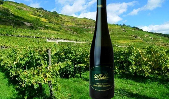 Riesling Smaragd Dürnsteiner Kellerberg 2017 Weingut F.X. Pichler