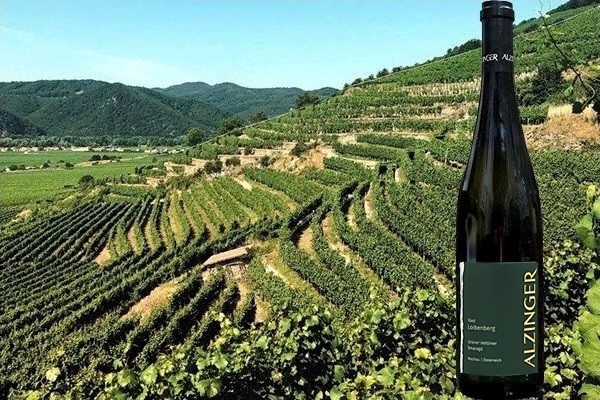 Grüner Veltliner Smaragd Ried Loibenberg 2016 Alzinger