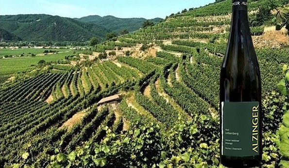 Grüner Veltliner Smaragd Ried Loibenberg 2016 Alzinger