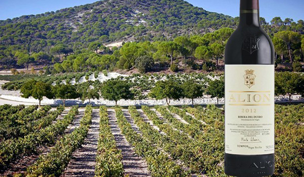 Ribera del Duero Alión 2012 Bodegas y Viñedos Alión