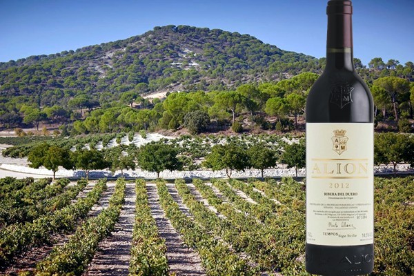 Ribera del Duero Alión 2012 Bodegas y Viñedos Alión