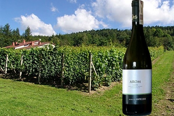 Arom 2018 Winnica Golesz