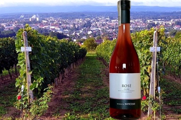 Rosé 2019 Winnica Golesz