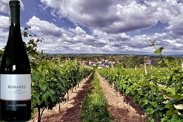 Romared 2018 Winnica Golesz