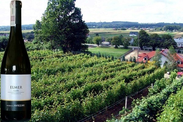 Elmer 2019 Winnica Golesz