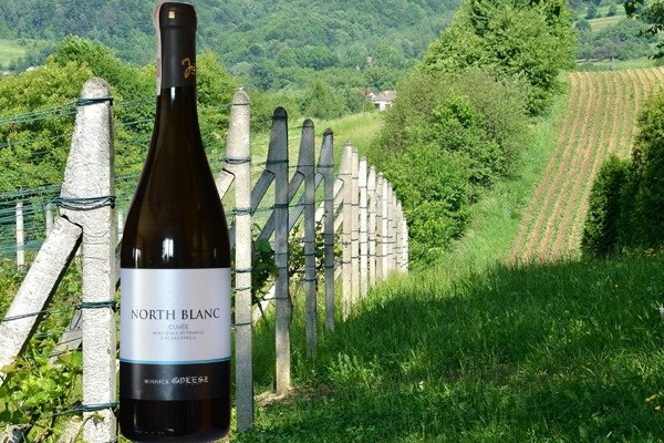 North Blanc 2019 Winnica Golesz
