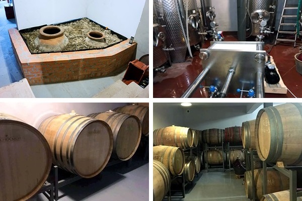 Winnica Płochockich