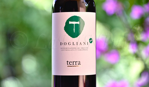 Dogliani Terra 2019 Cantina Clavesana