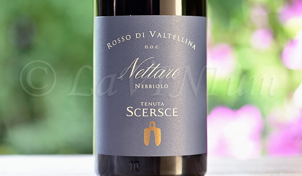 Rosso di Valtellina Nettare 2018 Tenuta Scerscé