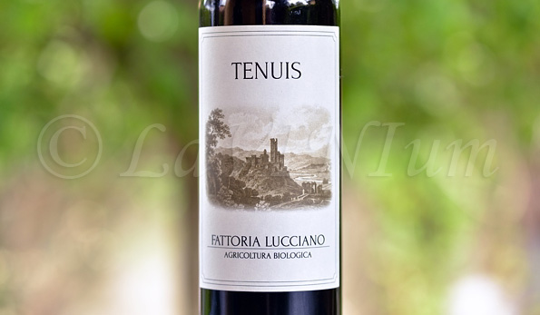 Tenuis Rosso (2016) Fattoria Lucciano