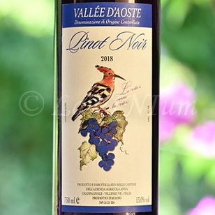 Vallée d’Aoste Pinot Noir 2018 Anna