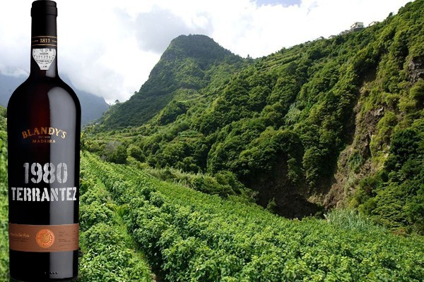 Madeira Terrantez Vintage 1980 Blandy’s