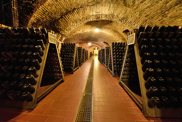 Cantina Travaglino