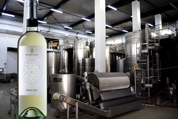 IG Dealurile Zarandului Pinot Gris 2018