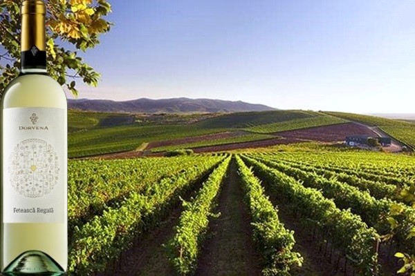 DOC Miniş Fetească Regală 2018