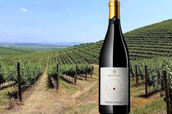 DOC Miniş Pinot Noir 2017