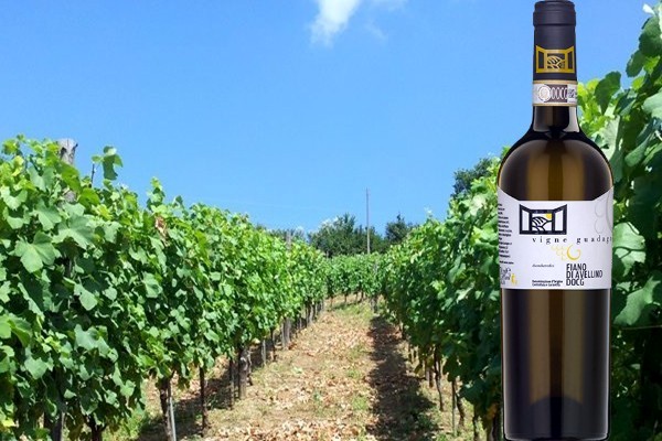 Fiano di Avellino 2016 Vigne Guadagno