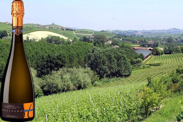 Piemonte Pinot Nero Extra Brut Molinera Vite Colte
