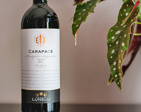 Montefalco Sagrantino Carapace 2015 Tenuta Castelbuono