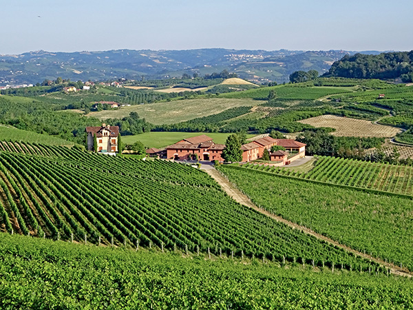 La tenuta a Piobesi d'Alba