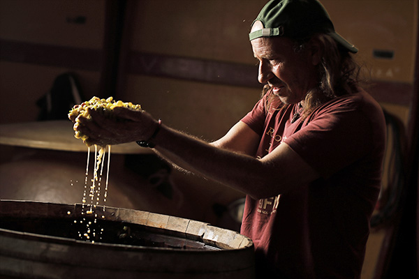 Cesare Corazza con il macerato fra le mani