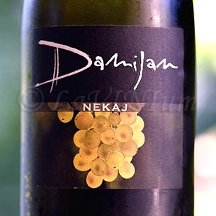 Nekaj 2015 Damijan Podversic