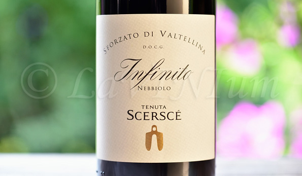 Sforzato di Valtellina Infinito 2017 Tenuta Scerscé