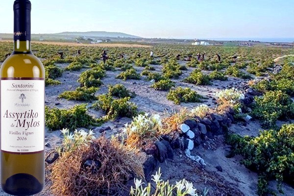 Assyrtiko de Mylos 2016 Hatzidakis