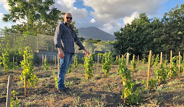 Andrea Matrone in vigna