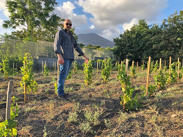 Andrea Matrone in vigna