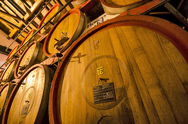 Bottaia Bosco del Merlo