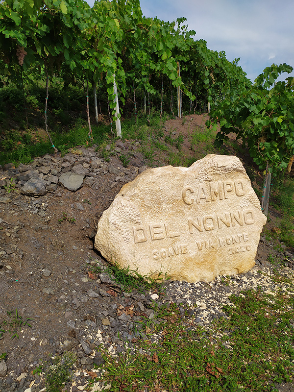 Campo del Nonno