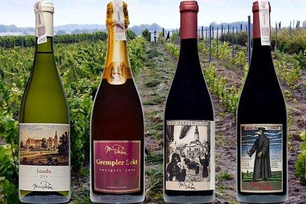 Winnica Miłosz i vini degustati