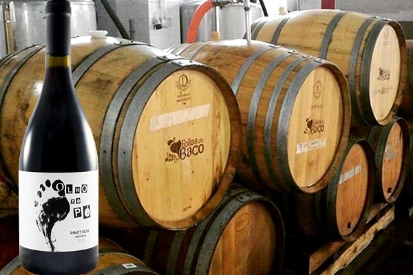 Pinot Noir Olho no Pé Reserva 2010 Folias de Baco