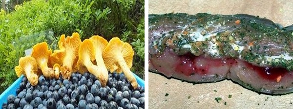 Medaglioni ai frutti di bosco con risotto ai funghi freschi