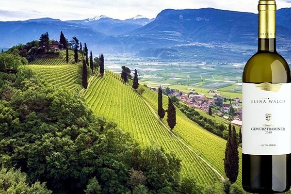 Alto Adige Gewürztraminer vigna ”Kastelaz” 2018 Elena Walch