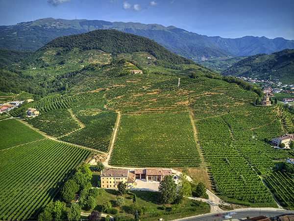 Merotto Space, veduta aerea sui vigneti