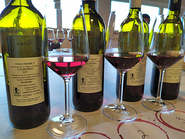 I vini dell'azienda Pegoraro