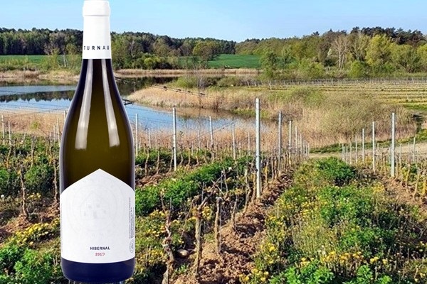 Hibernal 2018 Winnica Turnau