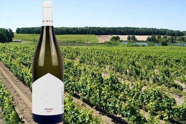 Solaris 2019 Winnica Turnau