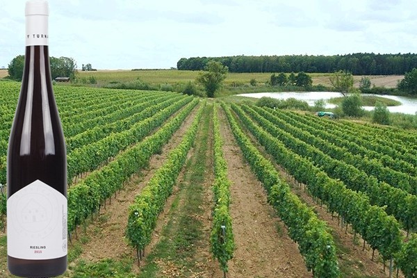 Riesling 2018 Winnica Turnau