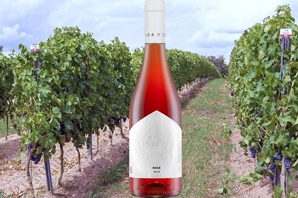 Rosé 2019 Winnica Turnau