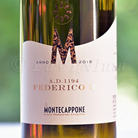 Verdicchio dei Castelli di Jesi Classico Superiore A.D. 1194 Federico II 2018