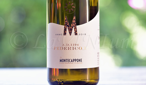 Verdicchio dei Castelli di Jesi Classico Superiore A.D. 1194 Federico II 2018 Montecappone