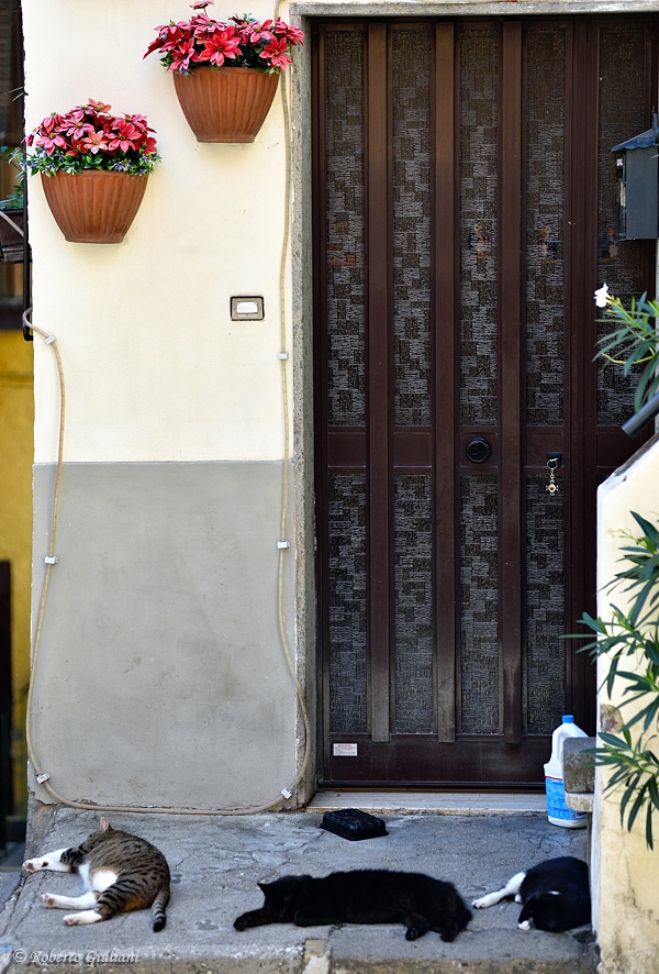 Giornata particolarmente calda a Capranica