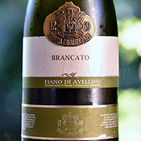 Fiano di Avellino Brancato 2011 Tenuta Cavalier Pepe